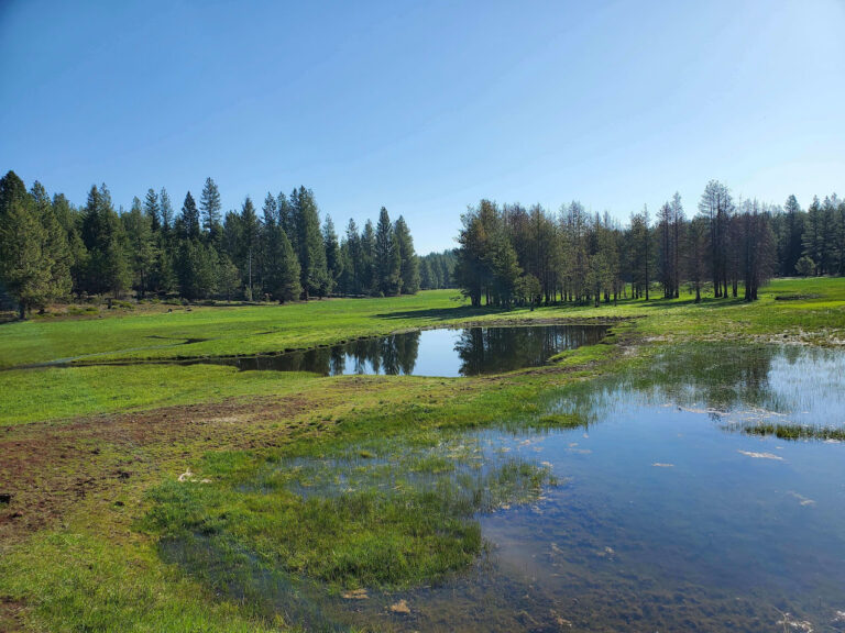 montane meadow habitat grant Ducks Unlimited