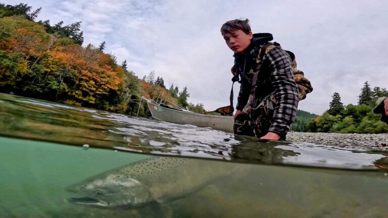 southern oregon fall chinook Han