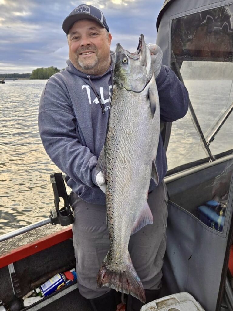 Willamette Chinook Schwartz