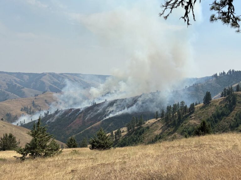 Burnt Creek Fire Inciweb