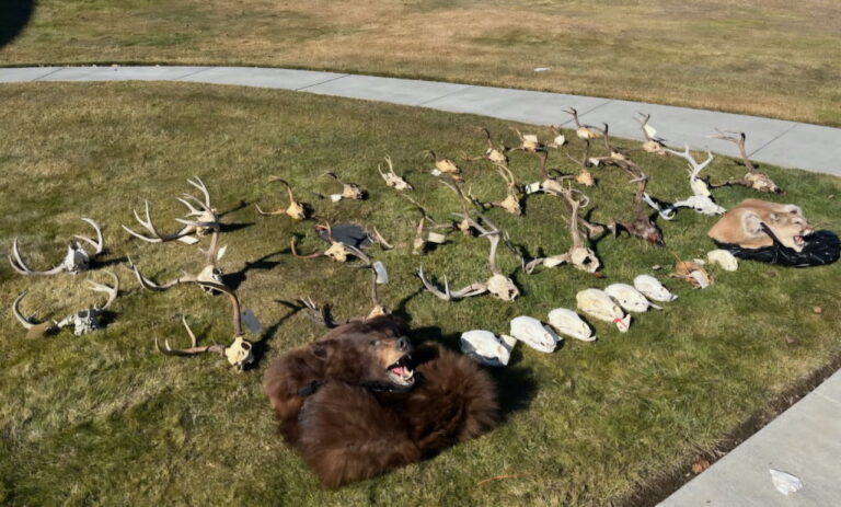 NR_7-1-26_FW_UmatillaCounty_Animals