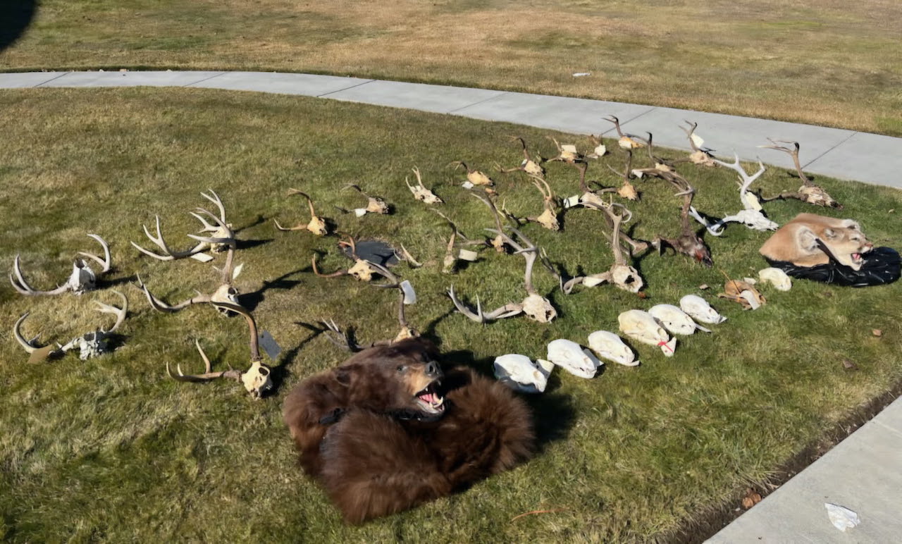Former Oregon DOC Officer Loses Hunting Privileges For Life, Fined $114,000 For Big Game Violations -