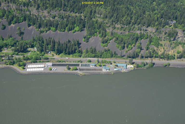 Spring Creek National Fish Hatchery Washington DOE