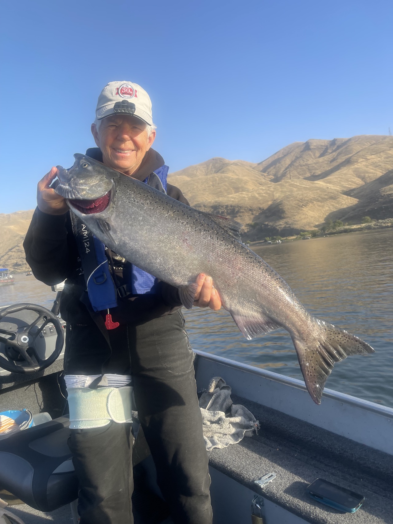 Fall Chinook Season Set On Washington's Snake; Lower Wild King Limit ...