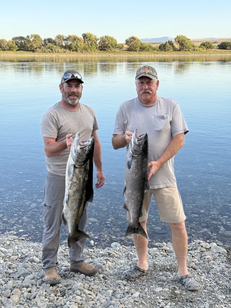 Columbia River fall Chinook