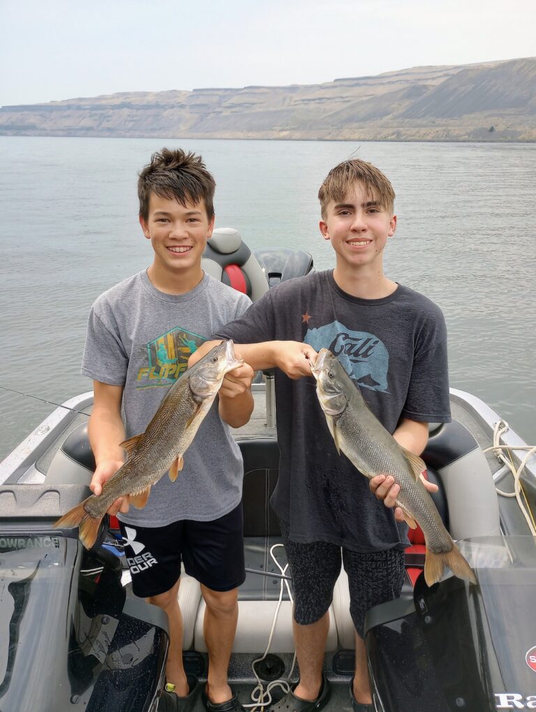 Snake River northern pikeminnow Han
