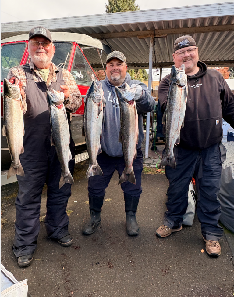 Lower Columbia coho Schwartz